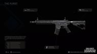 Call of Duty: Assault Rifle (Standard).